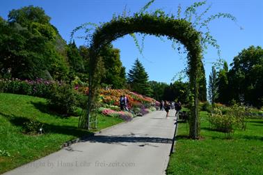 2020 09 03 Insel Mainau,_DSD_7094_b_488px